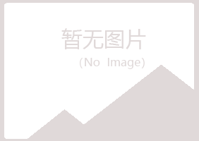 惠城区山柏工程有限公司